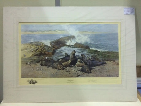elephant seals mounted print by artist david shepherd