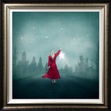 fallen star deluxe framed print by artist michelle mackie