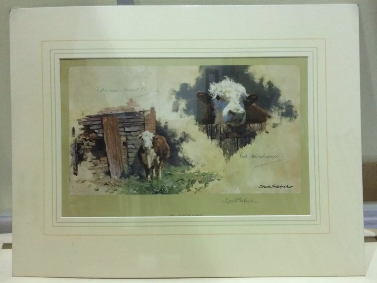 fred after his shampoo mounted print by artist david shepherd