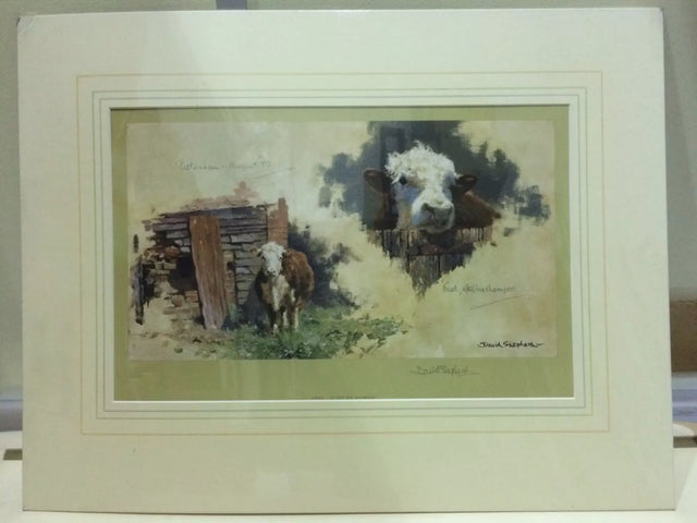 fred after his shampoo mounted print by artist david shepherd