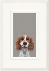 happy go lucky framed print by artist nicky litchfield