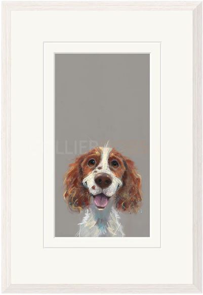 happy go lucky framed print by artist nicky litchfield