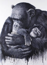 In Safe Hands