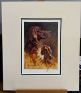 irish setter head study mounted print by artist mick cawston