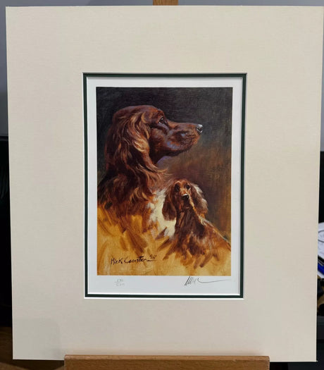 irish setter head study mounted print by artist mick cawston