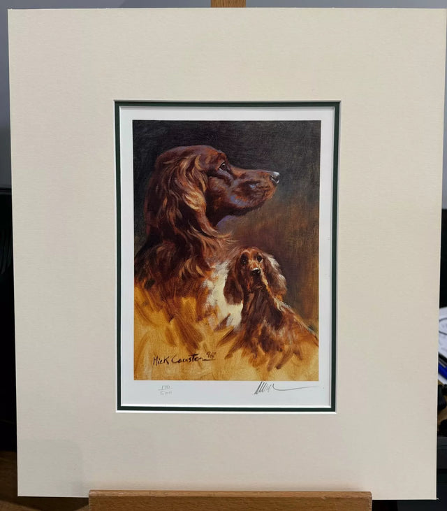 irish setter head study mounted print by artist mick cawston