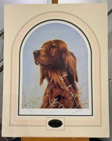 irish setter mounted print by artist john silver