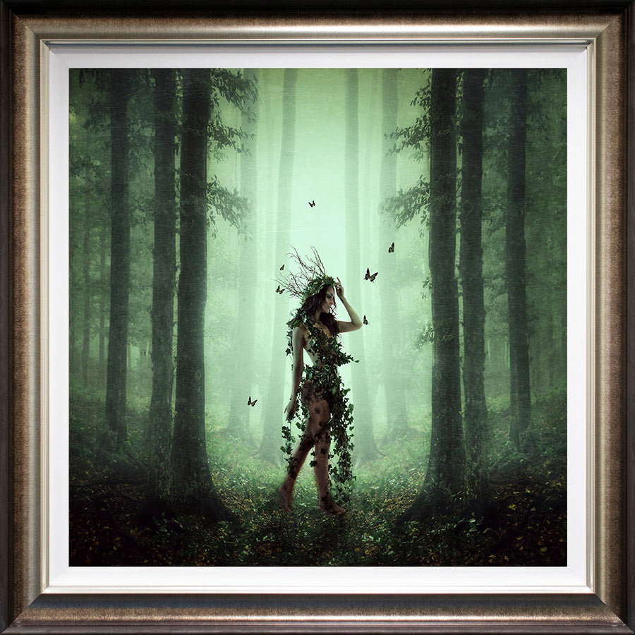 Ivy