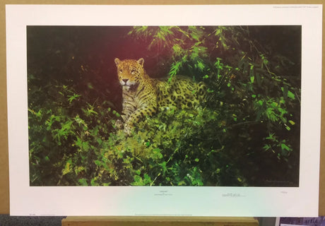 jaguar april 1999 print by artist david shepherd