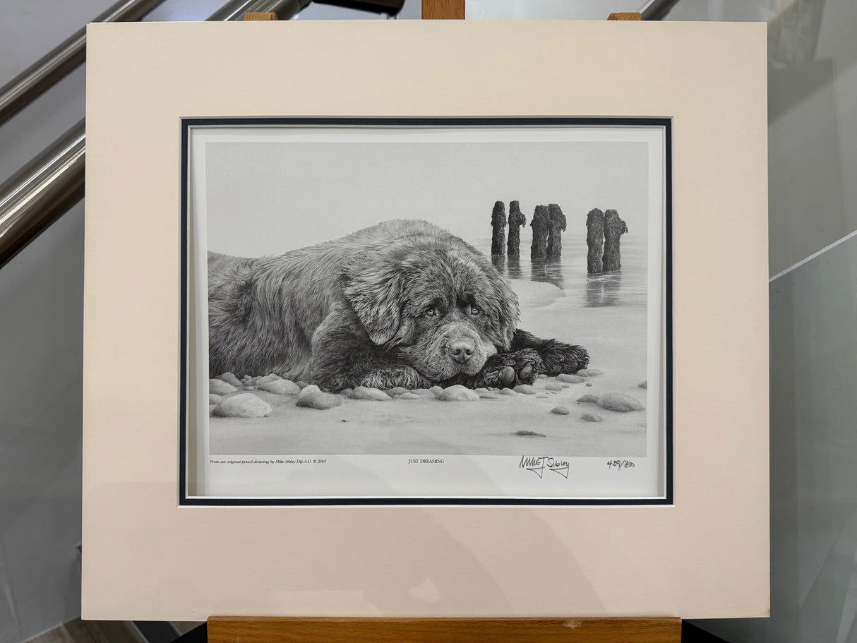 just dreaming mounted print by artist mike sibley