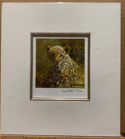 leopard miniature mounted print by artist david shepherd