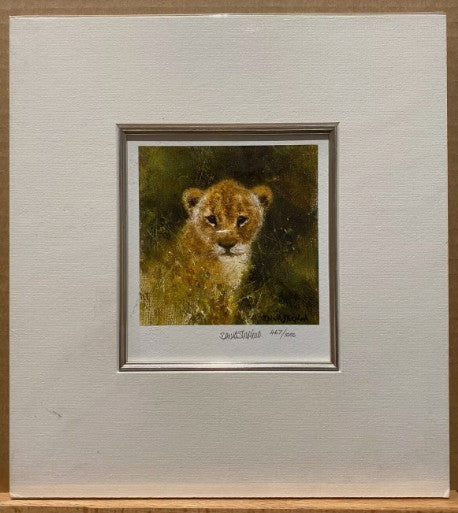 lion miniature mounted print by artist david shepherd