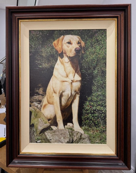 monty canvas print framed by artist steven townsend