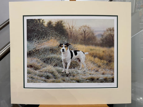 our jack artist proof mounted print by artist steven townsend