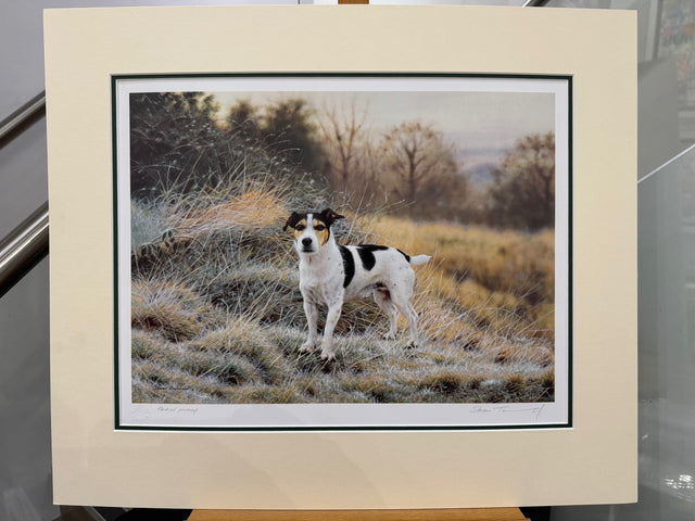 our jack artist proof mounted print by artist steven townsend