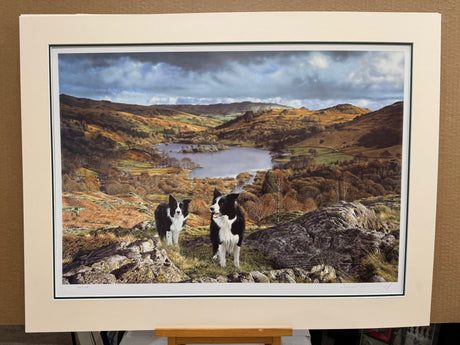 our valley mounted print by artist steven townsend