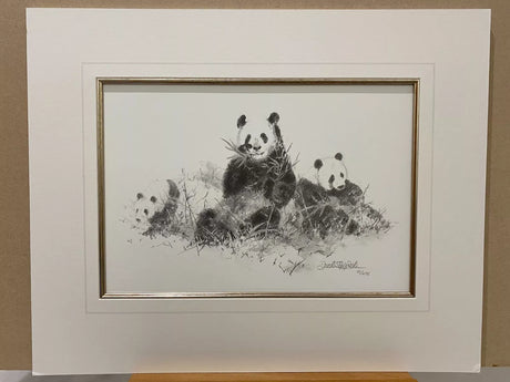 panda pencil mounted print by artist david shepherd
