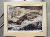 pheasants mounted print by artist steven townsend