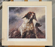 pointer mounted print by artist mick cawston