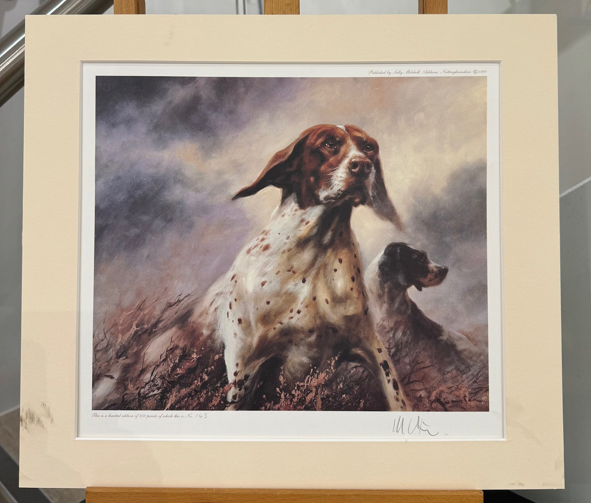 pointer mounted print by artist mick cawston