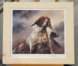 pointer mounted print by artist mick cawston
