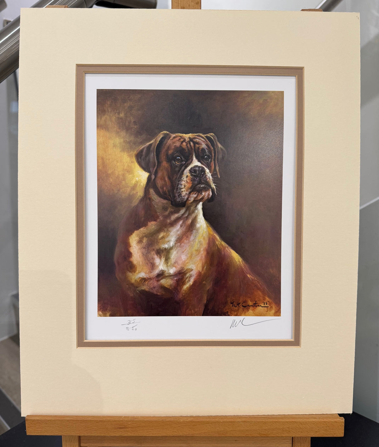 portrait of a boxer mounted print by artist mick cawston