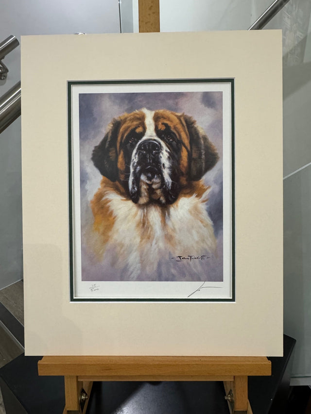 saint bernard mounted print by artist john trickett