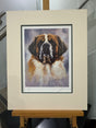 saint bernard mounted print by artist john trickett