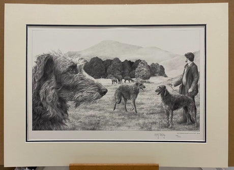 scottish deerhound mounted print by artist mike sibley