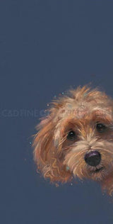 sneaky peek mounted print by artist nicky litchfield