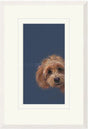 sneaky peek framed print by artist nicky litchfield