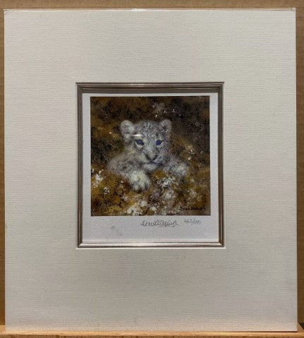 snow leopard miniature mounted print by artist david shepherd