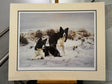 snow search artist proof mounted print by artist steven townsend