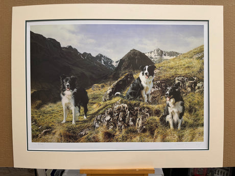 summit meeting mounted print by artist steven townsend