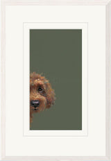 taking a peek framed print by artist nicky litchfield