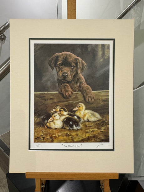 the bird fancier mounted print by artist john trickett