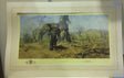 the land of the boabab trees mounted print by artist david shepherd