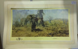 the land of the boabab trees mounted print by artist david shepherd