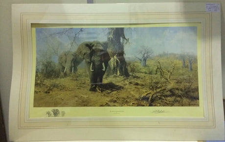 the land of the boabab trees mounted print by artist david shepherd