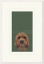 the look framed print by artist nicky litchfield