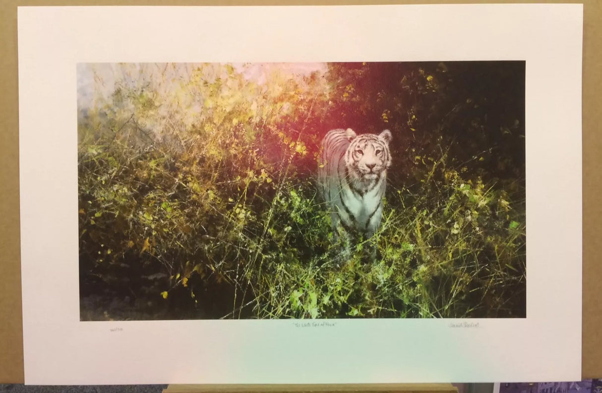 the white tiger of rewa silkscreen dec 2001 silkscreen print by artist david shepherd