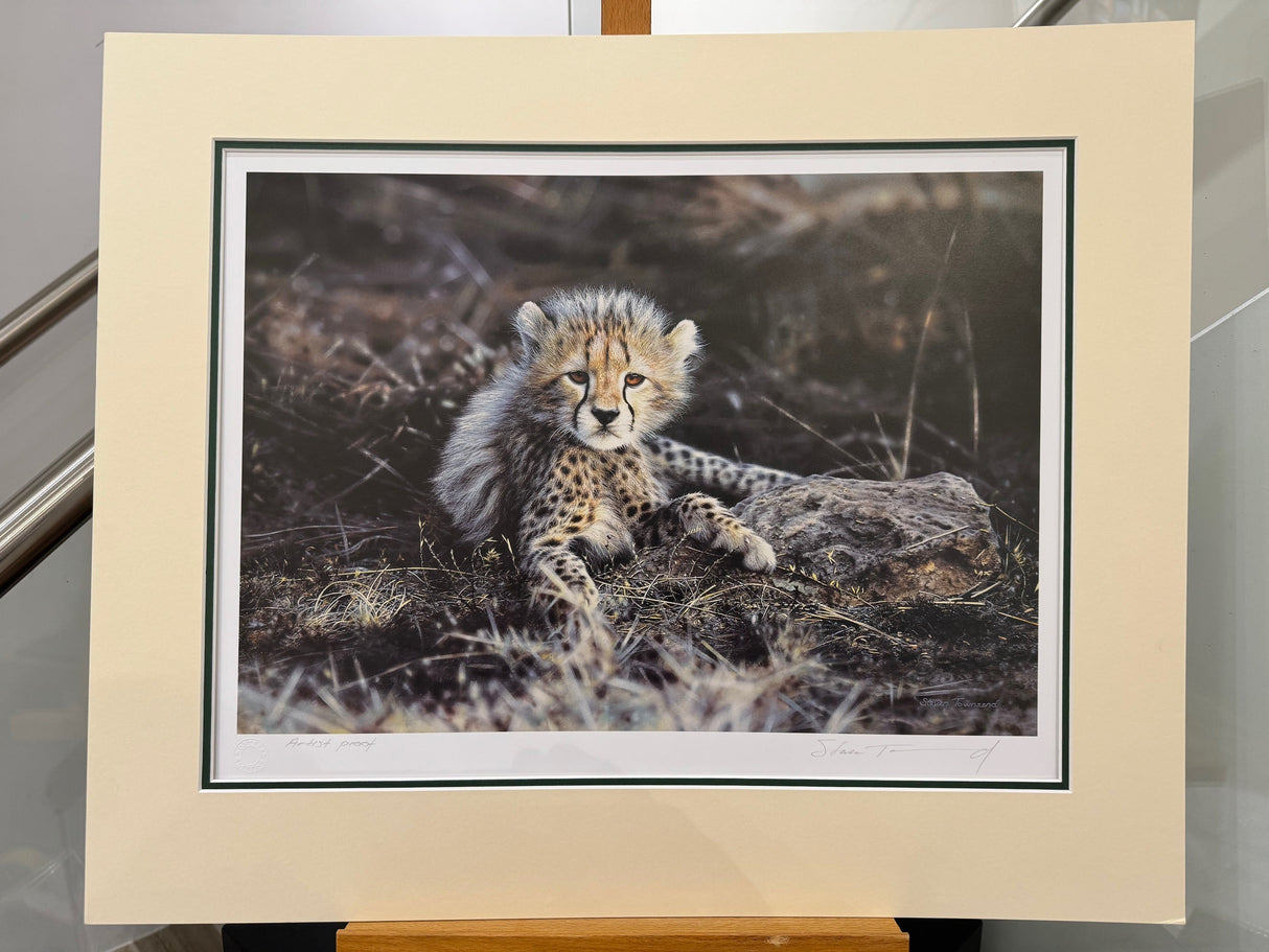 time to leave artist proof mounted print by artist steven townsend