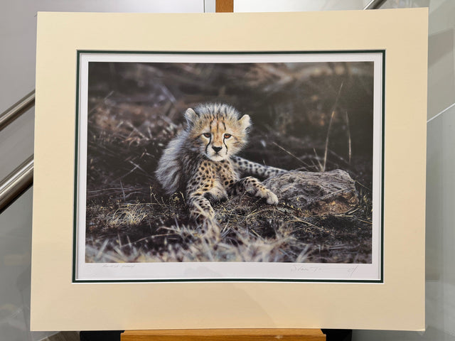 time to leave artist proof mounted print by artist steven townsend