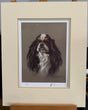tri colour cavalier mounted print by artist mick cawston