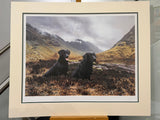 under brooding clouds mounted print by artist steven townsend