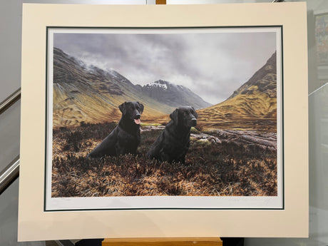 under brooding clouds mounted print by artist steven townsend