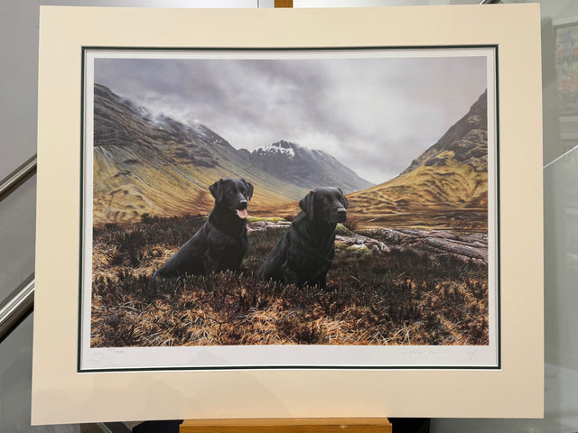 under brooding clouds mounted print by artist steven townsend