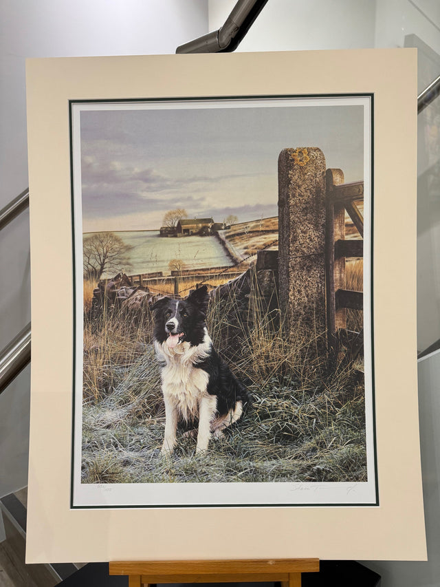 up north mounted print by artist steven townsend