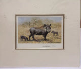 warthog family mounted print by artist david shepherd