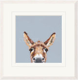 well hello there framed print by artist nicky litchfield